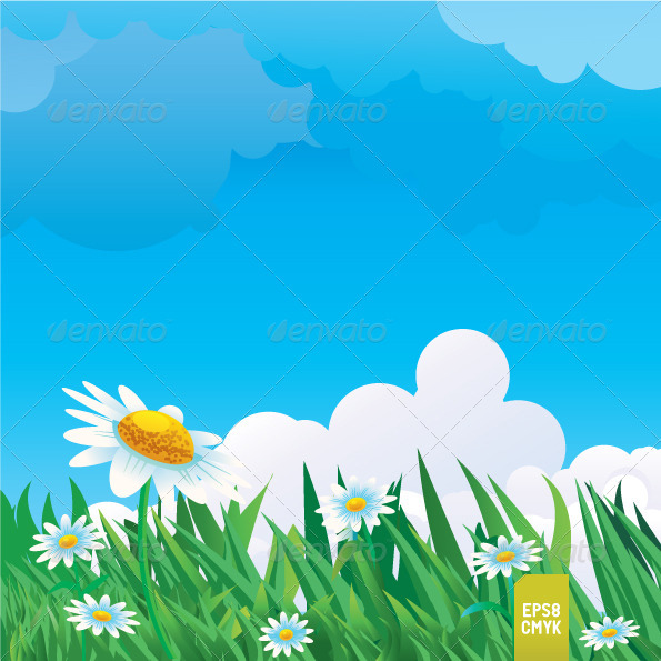 Summer Meadow - Nature Conceptual