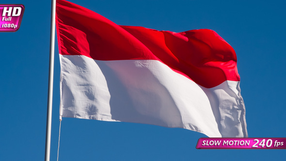 Indonesian Flag Waves The Wind alt