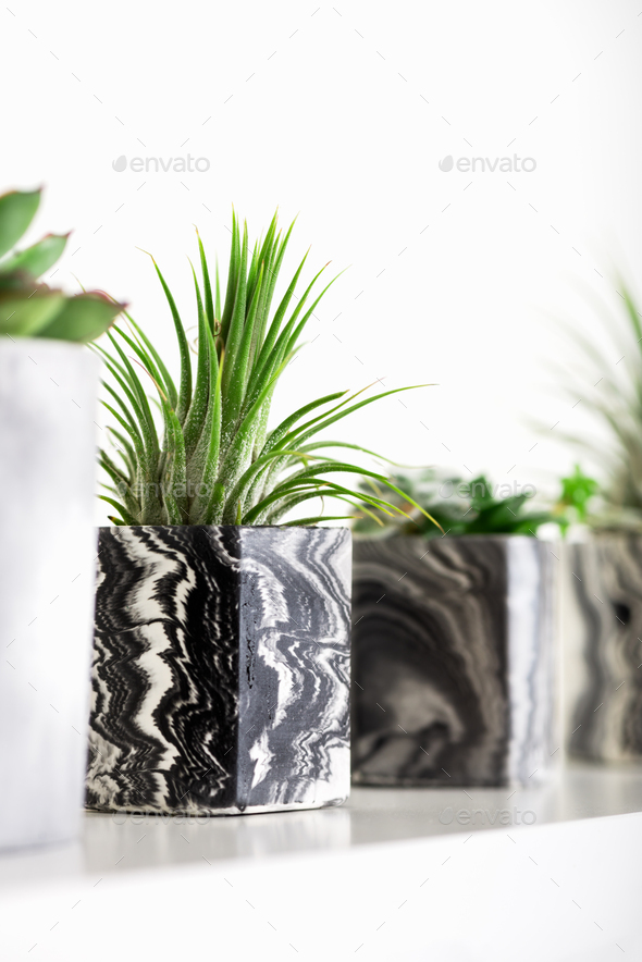 Marbled geometric succulent planters with beautiful tiny plants - Stock Photo - Images