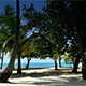 Tropical Paradise At Maldives - VideoHive Item for Sale