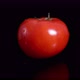 red tomato on a black background looped - VideoHive Item for Sale