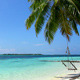 Swing On A Palm Tree At Maldives - VideoHive Item for Sale