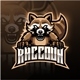 Raccoon Esport Mascot