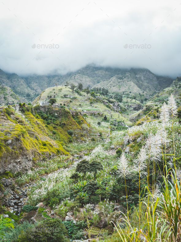 Landscape of vegetation and mountains and some local dwellings of the Paul Valley. Cultivated - Stock Photo - Images