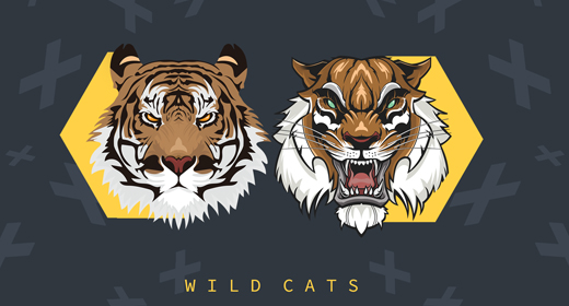 Wild cats