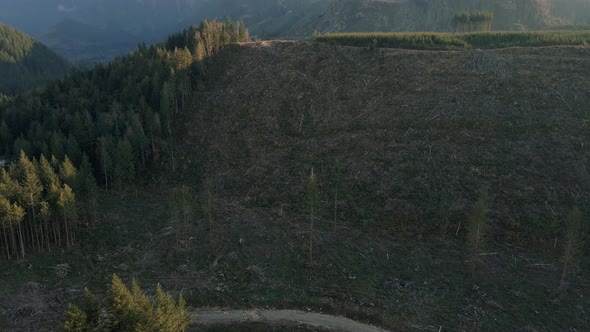 Aerial View Of Environmental Destruction With Deforestation On Mountain Forest alt