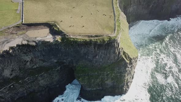 Top drone view of cliffs of Moher, fields and walking path and the white foam form the atlantic ocea alt