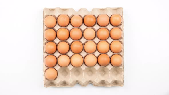 Stop motion animation raw chicken eggs in carton pack isolated on white background, Top view