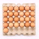Stop motion animation raw chicken eggs in carton pack isolated on white background, Top view - VideoHive Item for Sale