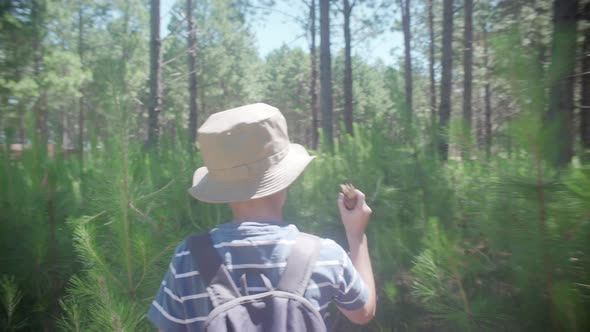 Boy hiking in woods alt