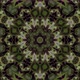 Pink-Green Kaleidoscope Background - VideoHive Item for Sale