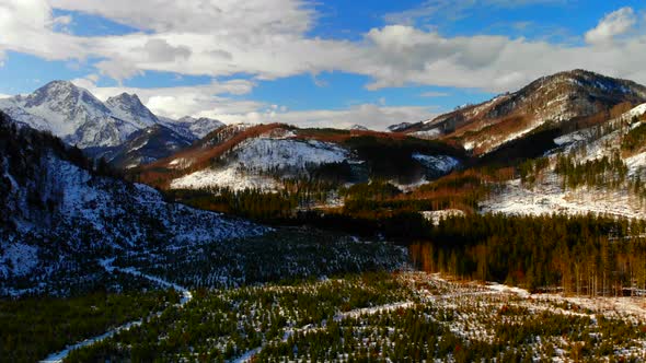 Beautiful Landscape with Mountains and forest in Winter alt
