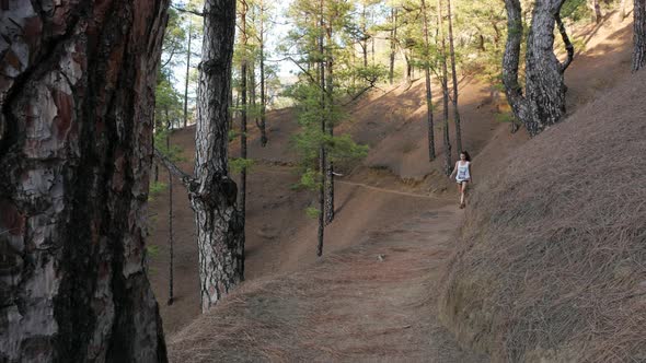 Young Active Woman Hiking Along Beautiful Green Forest Taburiente National Park