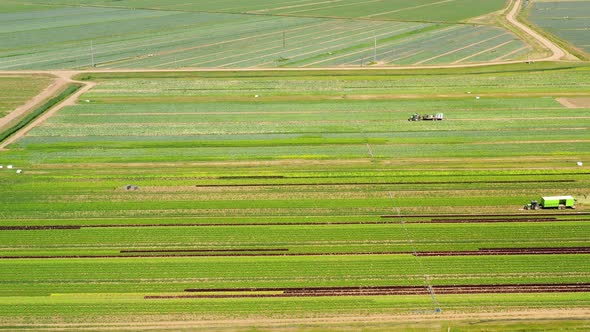 Agricultural Land with Green Crops From Above alt