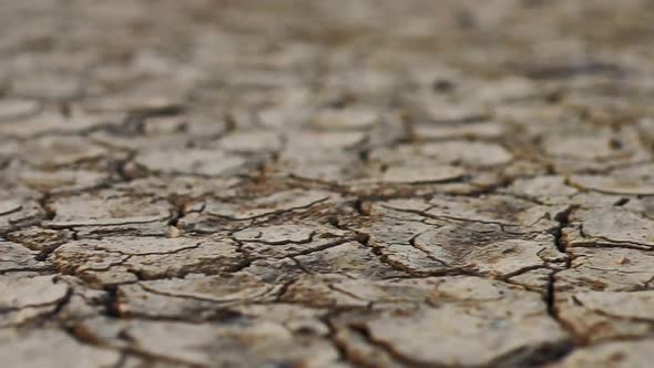 Motion of Dry Lake or River making Cracked Clay on Ground. Earth Day Concept. Dolly Slider Shot