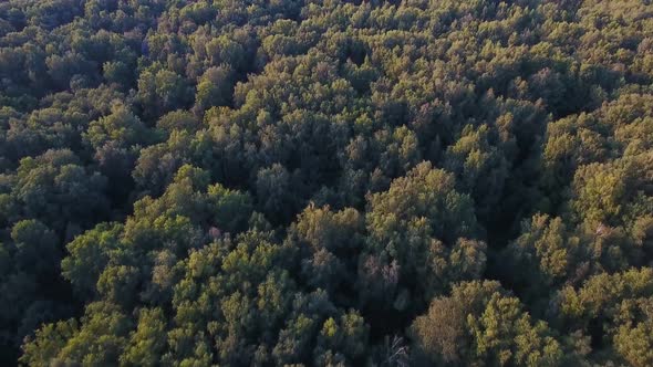 A drone flies over a forest near Moscow. The view from the height.