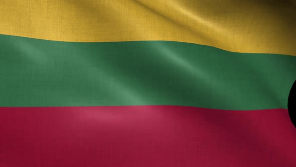 Lithuania Flag alt