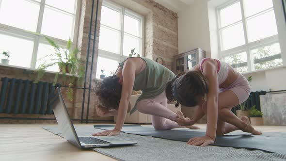 Woman and Girl Exercising at Home alt
