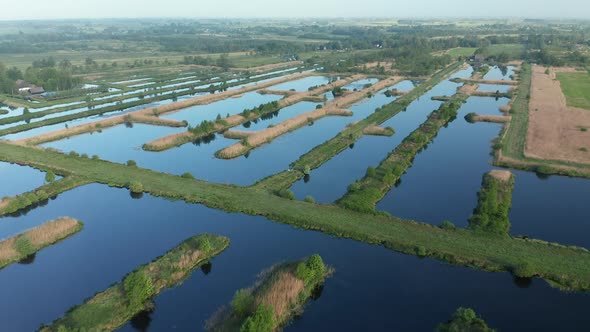 Dutch Polder Landscape, Grass And Farmland Near Weerribben, Netherlands - aerial pullback alt