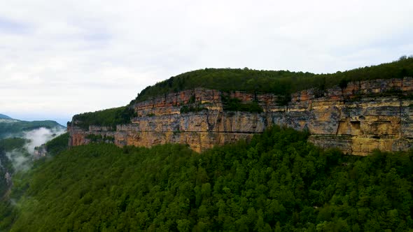 Mountains and forest alt