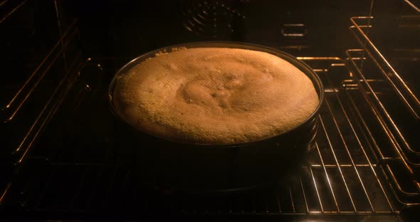Baking Sponge Cake in the Oven