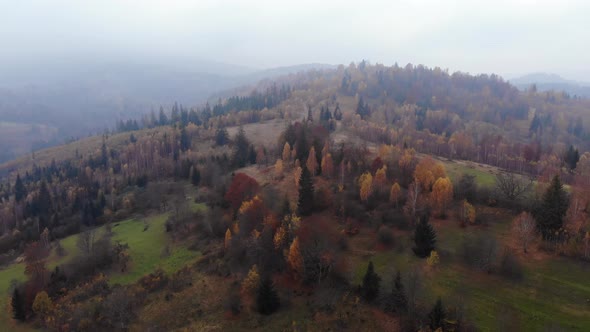 Aerial Drone Footage View: Flight over autumn mountain with forests and fields. 
