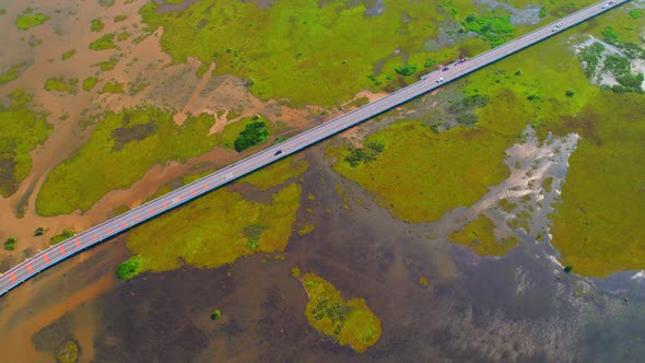 Aerial view from a drone over green and yellow plants in a large wetland alt