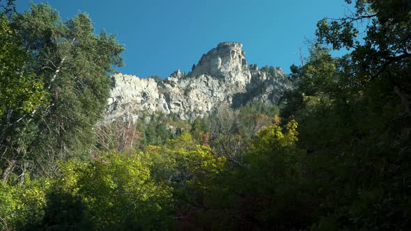 Beautiful late summer / early fall scene with a tall rocky mountain peak peering up over the green, alt