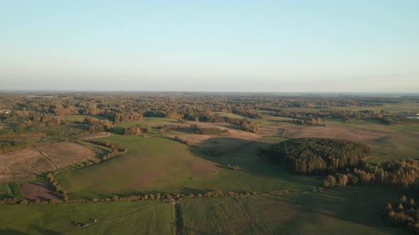 AERIAL: Forest with Plains on a Summer Evening During Golden Hour
