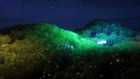 A Butterfly That Shines With Fireflies And Flies Over A Beautiful Forest (2)