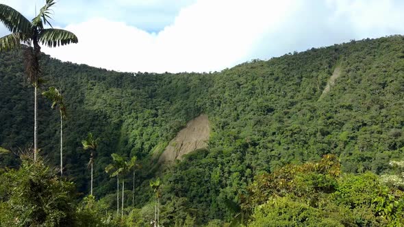 Fly over the jungle of Chocó alt