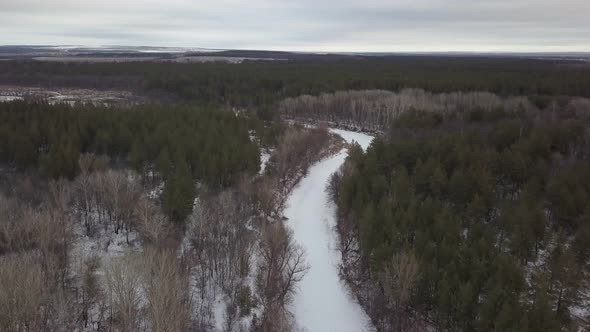 Frozen River in Woodland in Winter Day, Top View From Drone