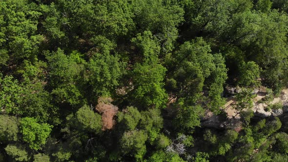 Aerial view of the beautiful forest and rocks in sunny day. alt