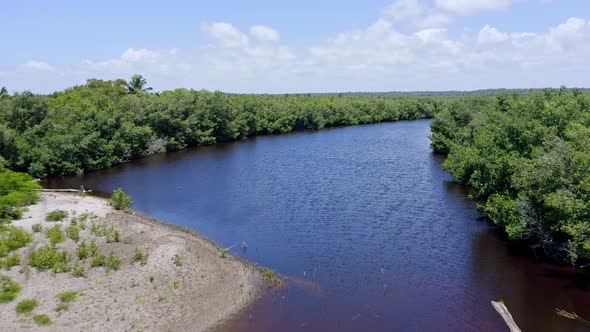 Important biodiversity hotspot of mangrove forest in San Pedro De Macoris alt