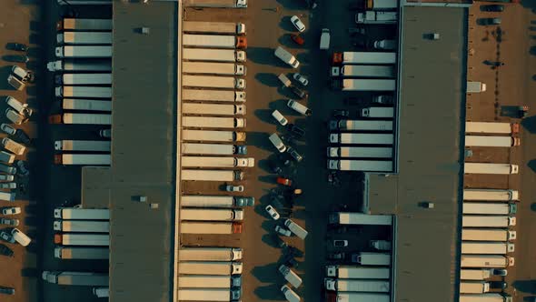 Big Warehouse and Many Loading and Unloading Trailer Trucks alt