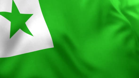 rejection Banquet argument Esperanto Flag by EFEKT_Studio | VideoHive