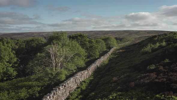 Drystone wall marking the boundary between open moorland and woodland and fields below - Fryupdale i alt