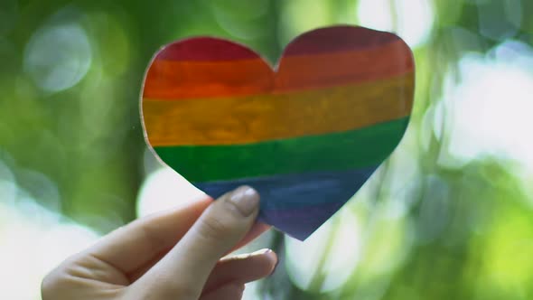 Female Hand Holding Rainbow Paper Heart, Recognition of Sexual Minorities Rights alt