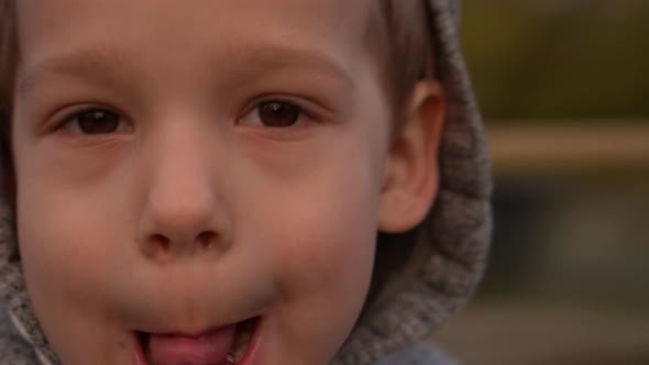 Close Up Portrait of Cute Little Boy Having Fun Spinning on Merrygoround Kid Smiling Looking at alt