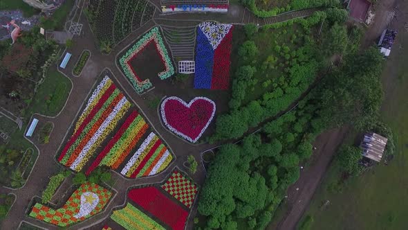 Aerial View of a Flower Garden in Philippines alt