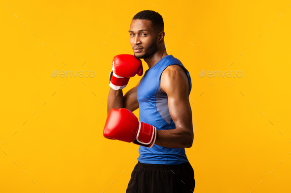 black boxer fighter