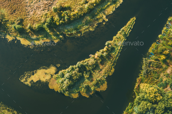 Aerial View Green Forest Woods On Small River Island In Summer Landscape. - Stock Photo - Images