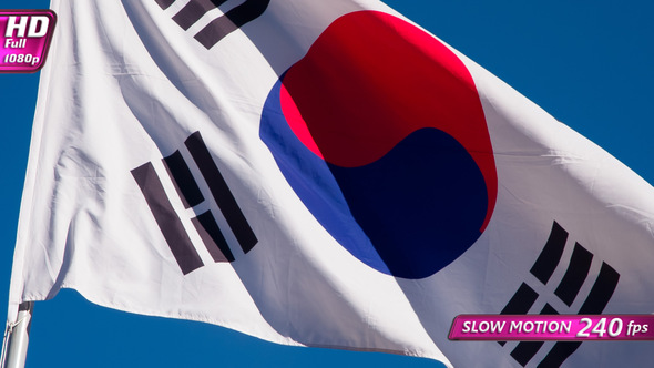 Korean Flag Wiggles The Wind alt
