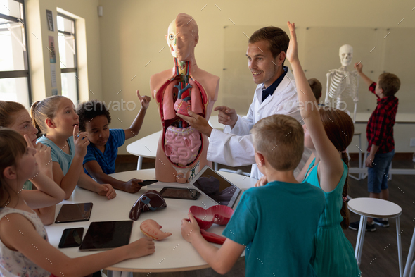 Male teacher wearing a lab coat using anatomy model