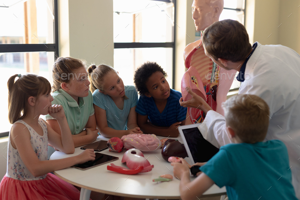 Group of elementary school kids working with anatomy model