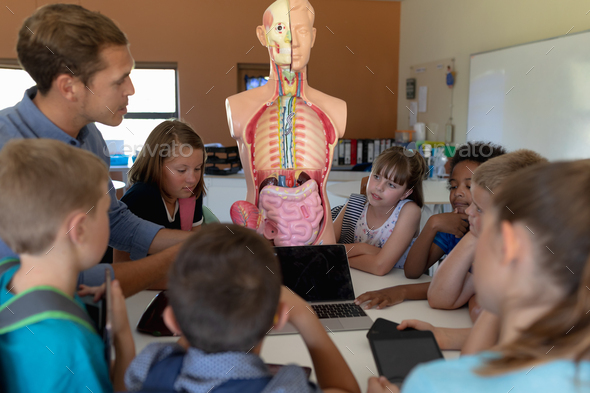 Male teacher using an human anatomy model to teach