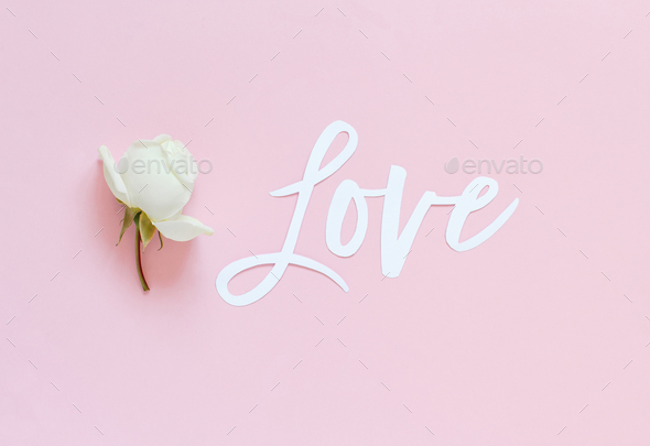 Flowers And Pink Paper On A Light Green Background Stock Photo By