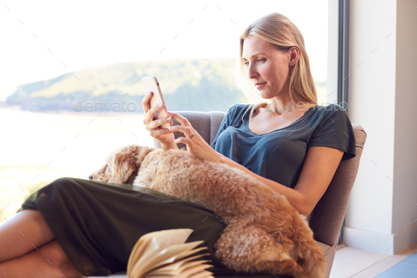 Woman Using Mobile Phone Relaxing In Chair By Window At Home With Pet Dog