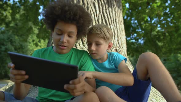 Boys Playing Tablet Sitting Under Big Tree in Park, Friends Spending Free Time