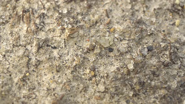 Sandy Ground By The River Slider Shot alt